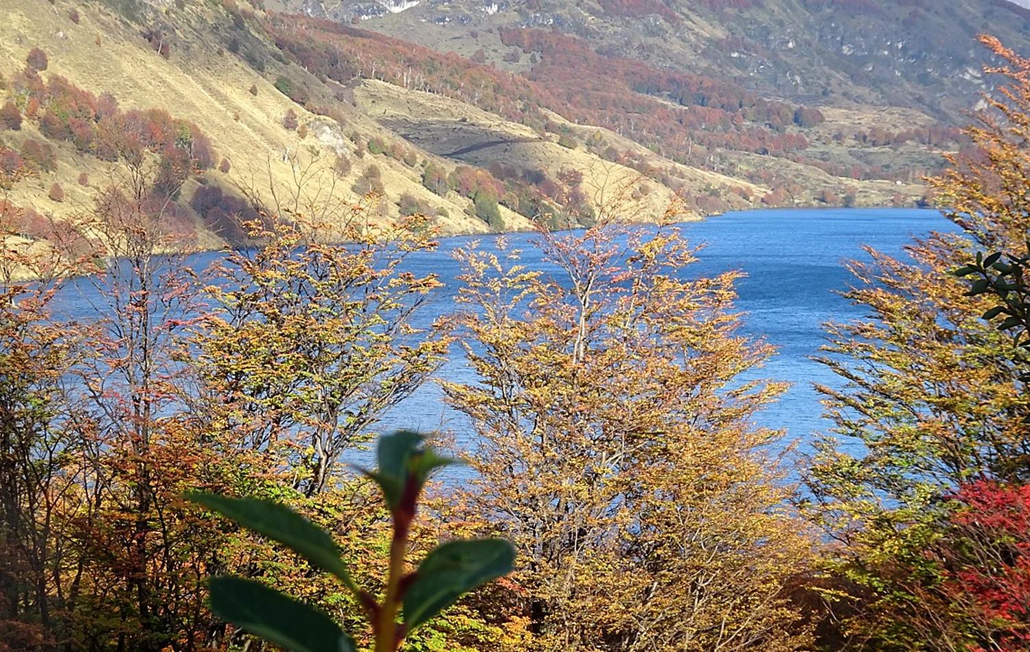 Lago Monreal rodeado de bosque en otoño
