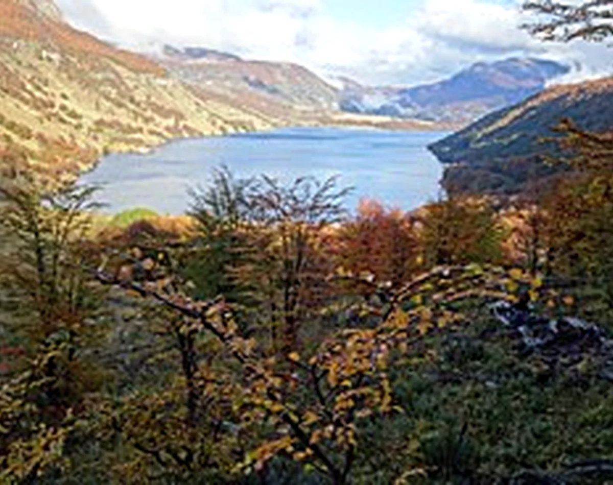 Vista otoñal hacia el Lago Monreal